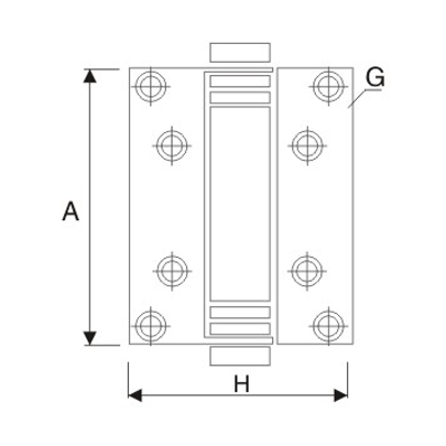 Stainless Steel Hinge - SA - A02
